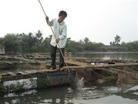 A farmer picks up dead fish in the Cai River, a tributary of the Dong Nai River that is now heavily polluted (Photo:VNA)
